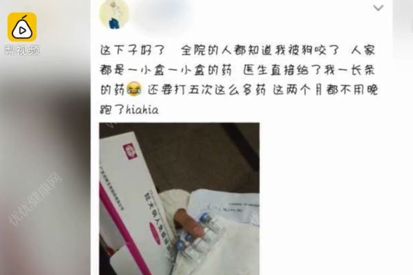 流浪狗咬傷11名大學(xué)生，該怎樣對(duì)待流浪狗？(2)
