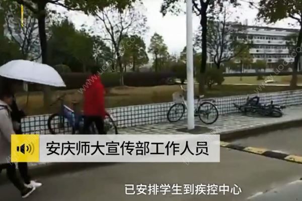 流浪狗咬傷11名大學(xué)生，該怎樣對(duì)待流浪狗？(4)