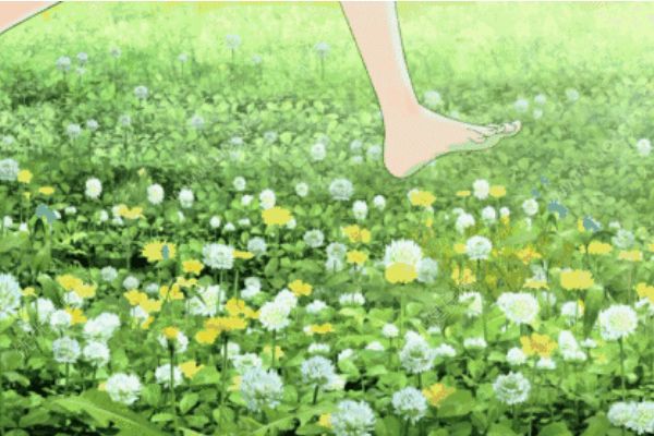 油菜花里玩耍視力降到0.4！春季賞花千萬要注意！(4)