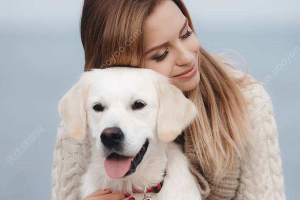 18歲老年癡呆柴犬離世，“親愛的貓，謝謝你用生命愛過我”(4)