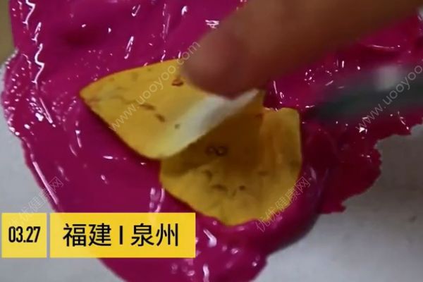用活蝴蝶做畢業(yè)設(shè)計(jì)！是藝術(shù)還是殘忍？(1)