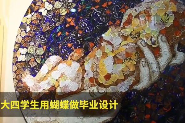 用活蝴蝶做畢業(yè)設(shè)計(jì)！是藝術(shù)還是殘忍？(3)