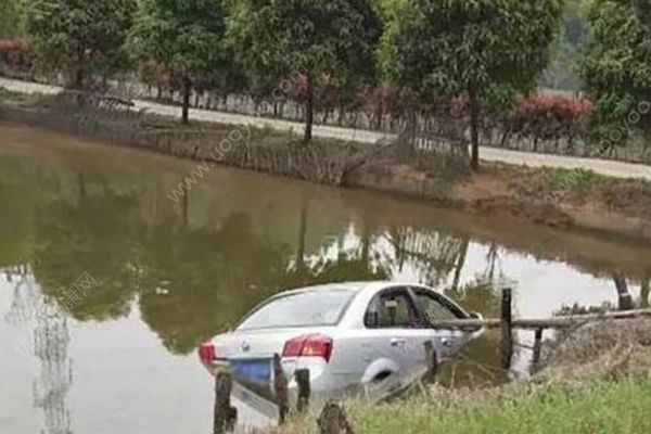 67歲老農(nóng)從落水私家車里勇救4人，含2名嬰兒1名孕婦(1)