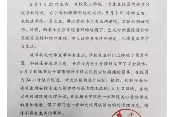 女生校園內遭成群流浪狗撕咬，被狗咬了怎么處理？(2)