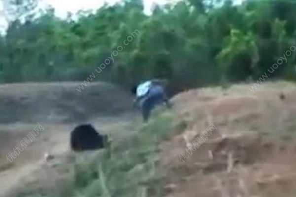 印度男子不顧勸阻非要摟著熊自拍！結(jié)果被熊撕咬致死！(3)