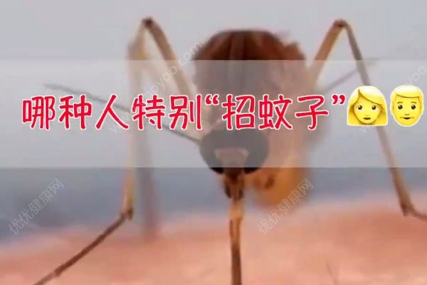 為什么有些人特別“招蚊子”？跟你的氣味有關(1)
