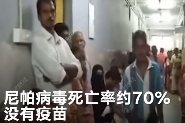 印度爆發(fā)尼帕病毒已致10死，死亡率高達(dá)70%(1)