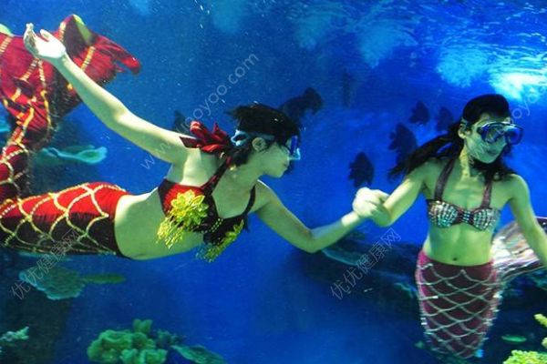 女孩海洋館扮美人魚！冬天長時(shí)間泡在水里有何危害？(2)