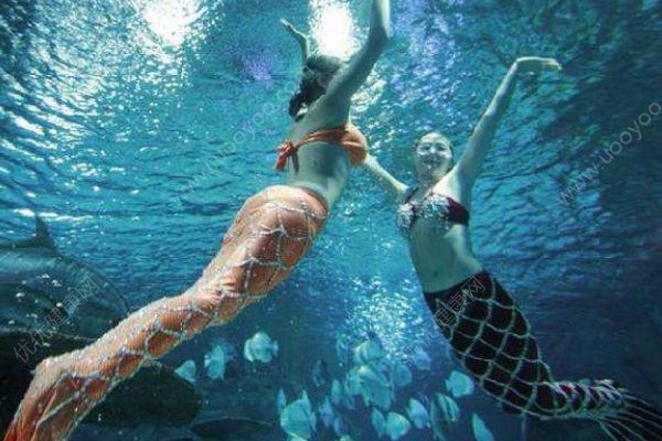 女孩海洋館扮美人魚！冬天長時(shí)間泡在水里有何危害？(3)