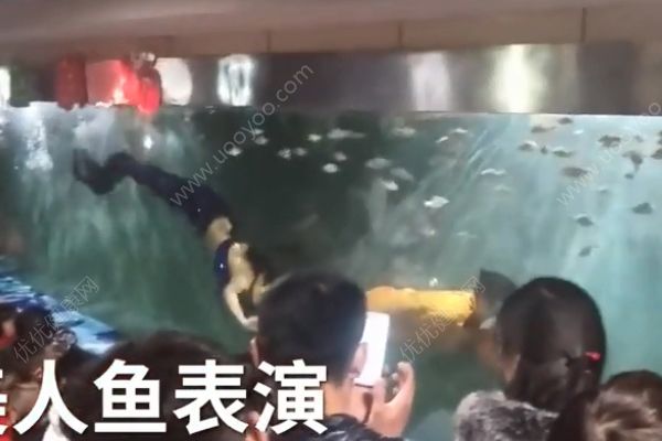 女孩海洋館扮美人魚！冬天長時(shí)間泡在水里有何危害？(1)