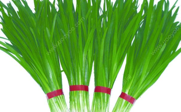 經(jīng)期能吃韭菜嗎？來月經(jīng)可不可以吃韭菜？(1)