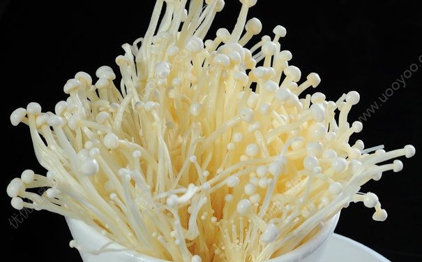 寶寶可以吃金針菇嗎？寶寶吃金針菇好嗎？(1)