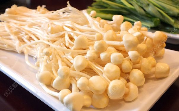 女性吃金針菇有什么好處？女人吃金針菇有哪些功效？(1)