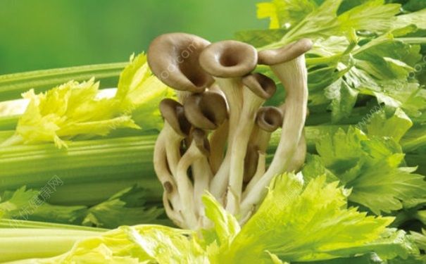 來月經(jīng)可以吃西瓜嗎？來月經(jīng)吃西瓜好嗎？(4)