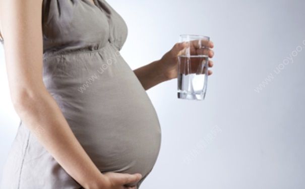 孕婦喝菊花茶可以嗎？孕婦可以喝茶嗎？(1)