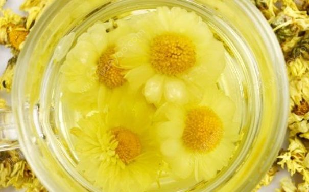 孕婦喝菊花茶可以嗎？孕婦可以喝茶嗎？(2)