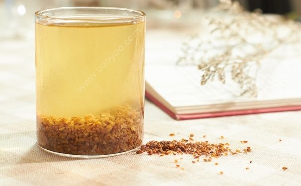 孕婦能喝苦蕎茶嗎？孕婦可以喝苦蕎茶嗎？(2)
