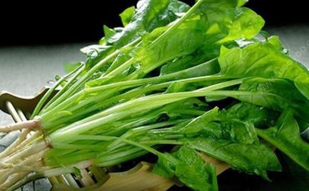 孕婦不能吃什么？孕婦忌食大全(4)