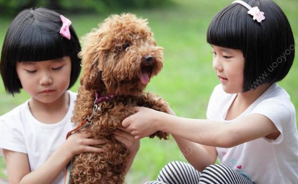 7歲女孩身高體重標(biāo)準(zhǔn)是多少？7歲女孩正常身高體重標(biāo)準(zhǔn)是多少？(4)