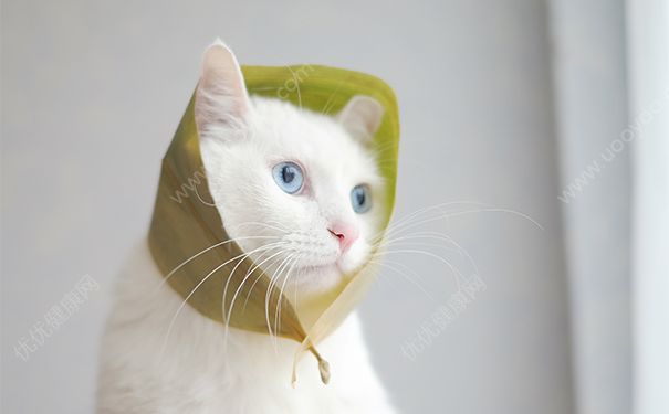 軍訓(xùn)之后怎么變白？軍訓(xùn)之后多久能恢復(fù)？(1)
