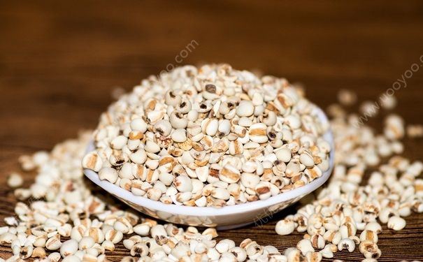 孕婦能吃薏米嗎？孕婦適合吃什么食物？(1)