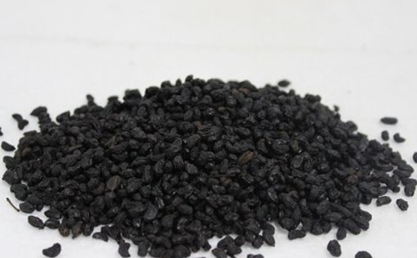 女貞子泡水喝有什么功效？女貞子泡酒喝有什么好處？(1)