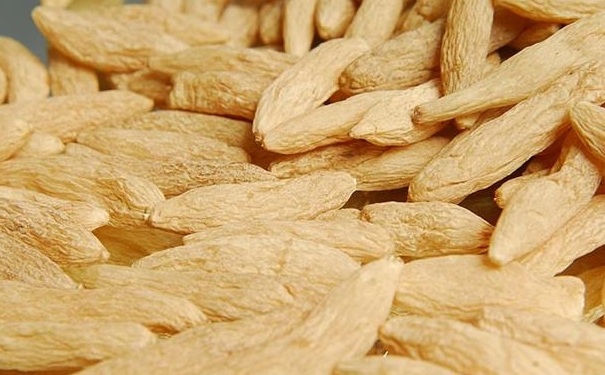 麥冬有什么作用？麥冬有什么功效？(1)