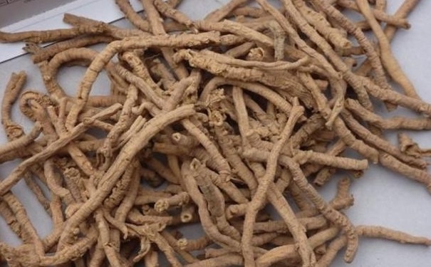 遠志有哪些食用方法？遠志的功效與作用有哪些？(1)