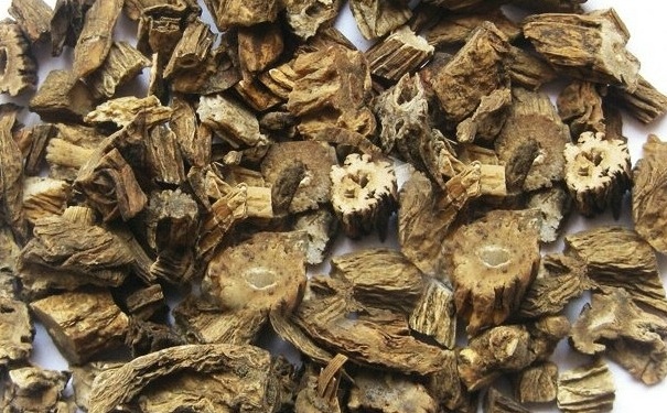 百部有哪些禁忌？百部有什么功效？(1)