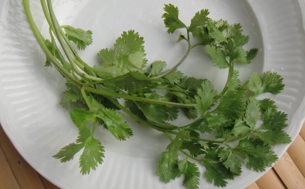 感冒能吃香菜嗎？感冒吃香菜好么？(1)