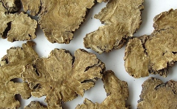 川芎有哪些禁忌？川芎的功效與作用有哪些？(1)