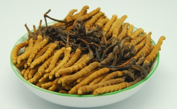 冬蟲(chóng)夏草有什么作用？冬蟲(chóng)夏草的功效與作用(1)