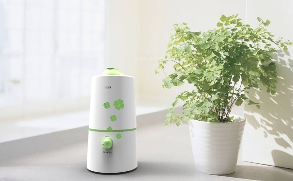 加濕器有什么危害？加濕器對人體的害處(1)