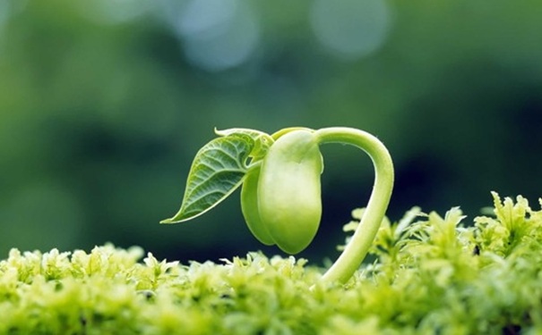 立春節(jié)氣怎么養(yǎng)生？立春調(diào)神養(yǎng)生的方法有哪些？(1)