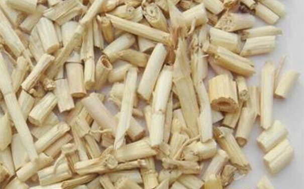 白茅根能治流鼻血嗎？白茅根可以治流鼻血嗎？(1)