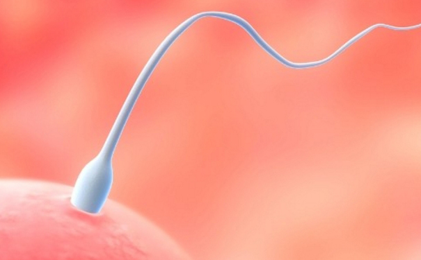 男人精子活力低怎么辦？精子活力低怎么調(diào)理？(1)