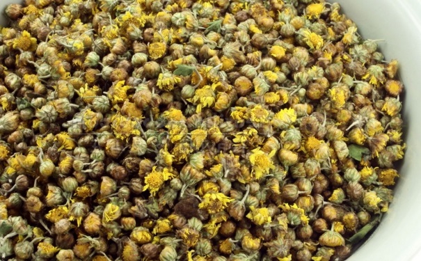 野菊花的功效作用有哪些？野菊花怎樣制作養(yǎng)生膳食？(1)