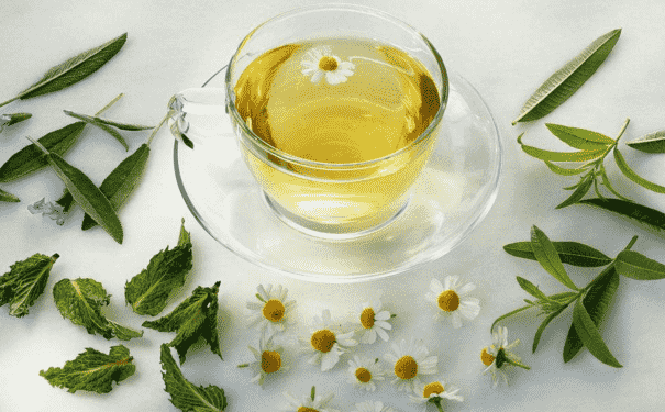 喝什么茶能解暑防感冒？哪些茶飲能消暑防感冒？(1)