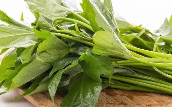 番薯葉的營養(yǎng)價值有哪些？番薯葉如何吃最好？(1)
