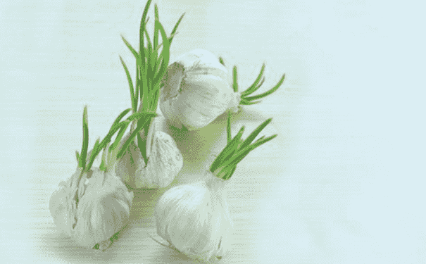 哪些發(fā)芽的食物不能吃？什么食物發(fā)芽還可以吃？(1)