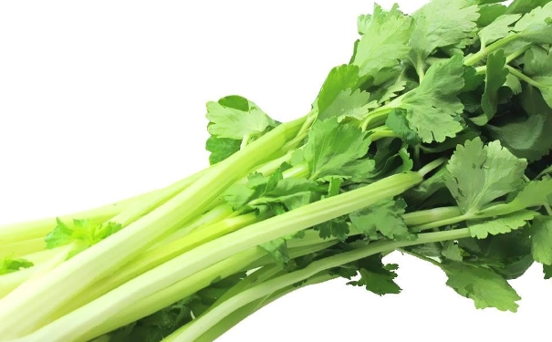 芹菜可以做成哪些美味佳肴？芹菜怎樣做比較好吃？(1)