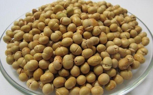 吃炒黃豆的好處是什么？炒黃豆有哪些養(yǎng)生功效？(1)