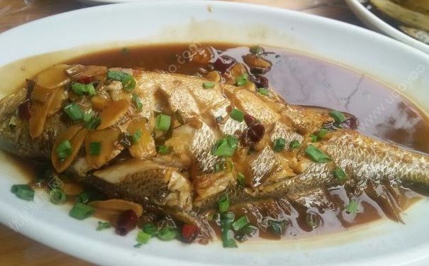 漁民捕到4.9公斤大黃魚，賣出一輛轎車價(jià)，大黃魚有什么營養(yǎng)？(4)