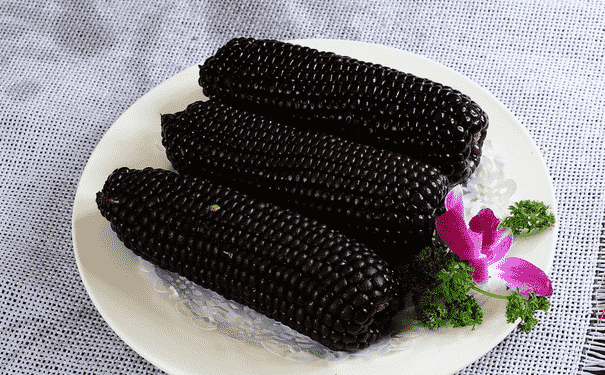 黑玉米有什么營(yíng)養(yǎng)價(jià)值？黑玉米有什么功效？(1)