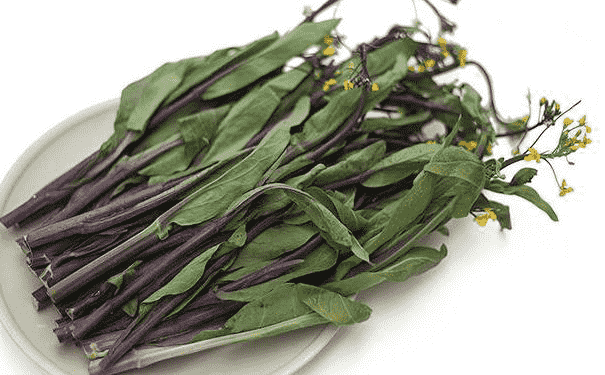 紅菜苔有什么營(yíng)養(yǎng)價(jià)值？紅菜苔有什么功效？(1)