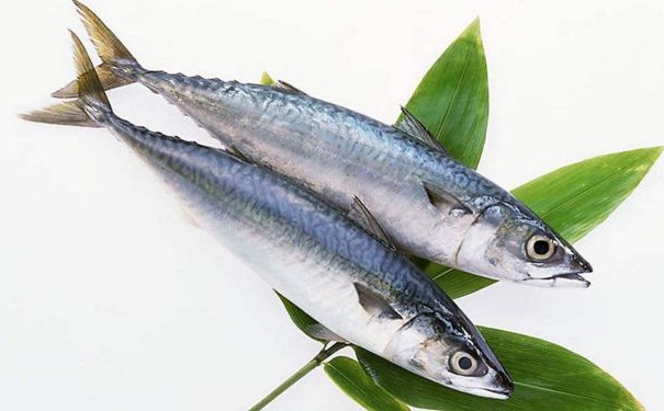 冬天多吃魚有何好處？冬天吃魚有何禁忌？(1)