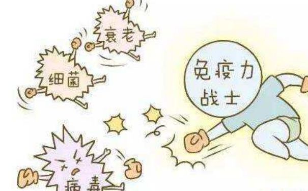 哪些習(xí)慣會(huì)損傷免疫力？怎樣提高身體免疫力？(2)