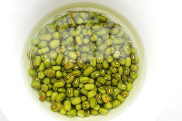 產(chǎn)婦能吃綠豆嗎？坐月子可以喝綠豆湯嗎？(2)