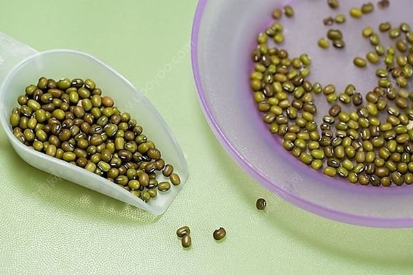 老人喝綠豆湯好嗎？老人喝綠豆湯好不好？(2)