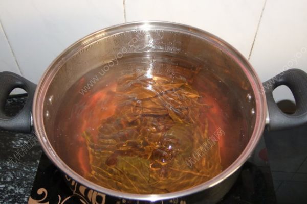嬰兒能吃枇杷葉嗎？嬰兒能喝枇杷葉水嗎？(4)
